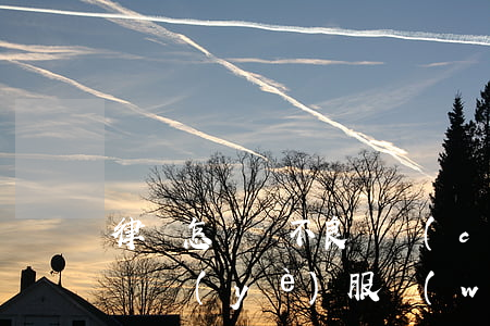 律師怎樣為不良資產(chǎn)處置提供專業(yè)服務(wù)？